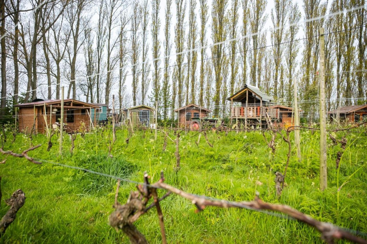 Wijndomein De Vier Ambachten -Overnachten In De Wijngaard Simonshaven Ngoại thất bức ảnh