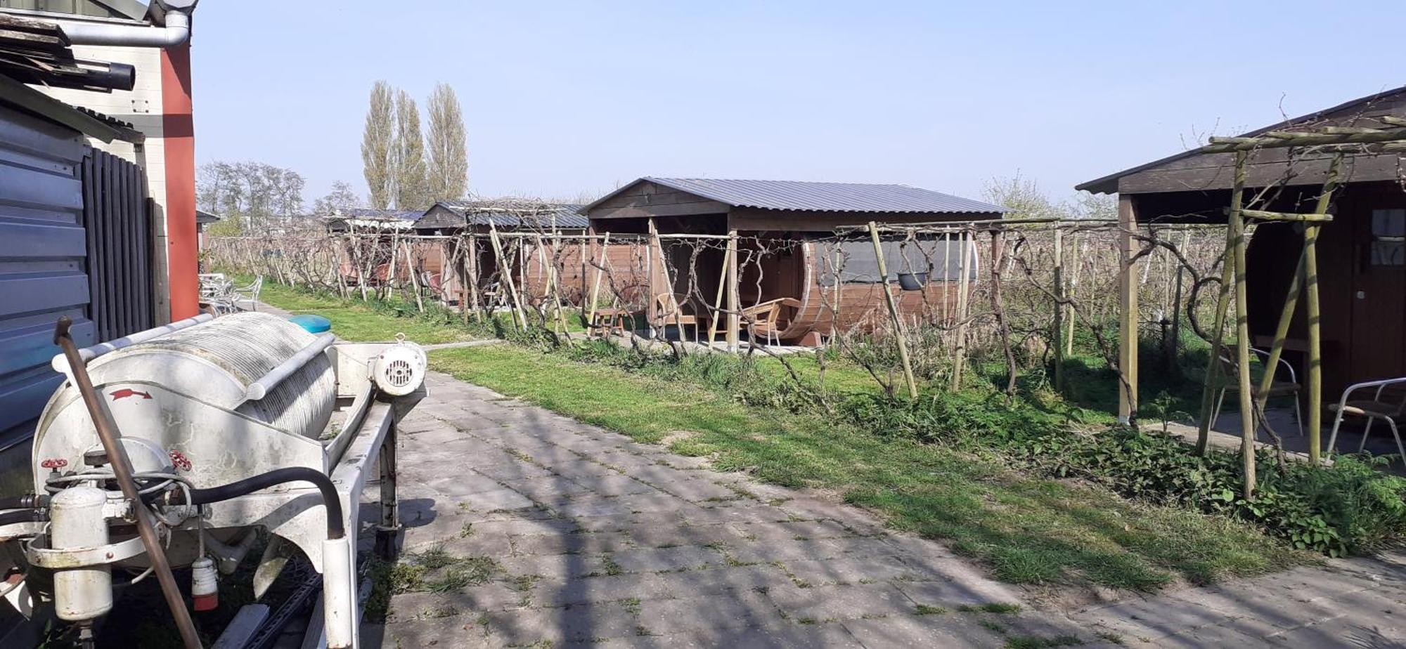 Wijndomein De Vier Ambachten -Overnachten In De Wijngaard Simonshaven Ngoại thất bức ảnh