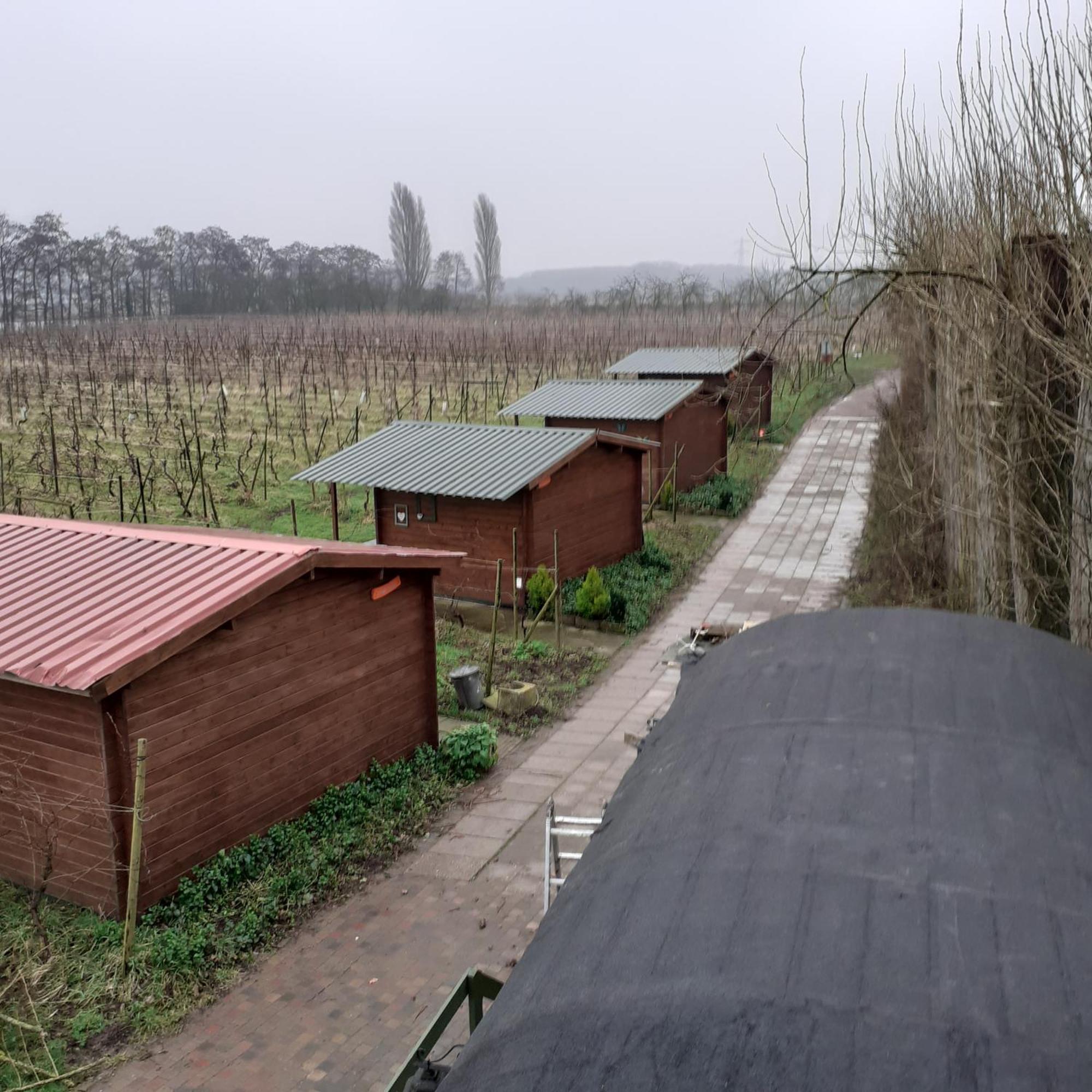 Wijndomein De Vier Ambachten -Overnachten In De Wijngaard Simonshaven Ngoại thất bức ảnh